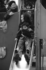 家庭的素材图片345h