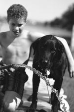 家庭的素材图片384h