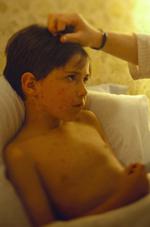 家庭的素材图片386h