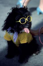 动物图片素材_054