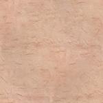 粉刷墙面贴图_007