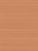 木质纹理-wood_beech-european-1_d