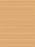 木质纹理-wood_beech-unsteamed-1_d