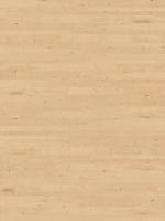 木质纹理-wood_birch-apple-1_d