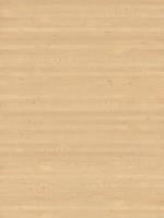 木质纹理-wood_birch-european-1_d