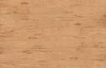 木质纹理-wood_birch-masers-2_d