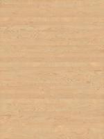 木质纹理-wood_birch-peeled-1_d
