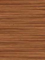 木质纹理-wood_elm-smooth-leaved-1_d