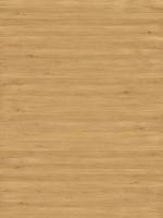 木质纹理-wood_hornbeam-european-1_d