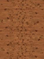 木质纹理-wood_oak-knot-1_d