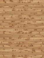 木质纹理-wood_poplar-black-masers-1_d