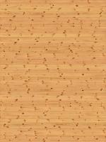 木质纹理-wood_scotch-pine-knot-1_d