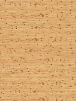 木质纹理-wood_swiss-stone-pine-1_d
